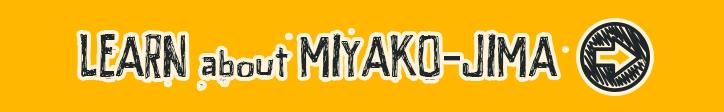 learn_about_miyakojima